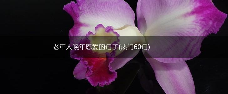 老年人晚年恩爱的句子(热门60句),第1张