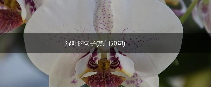 绿叶的句子(热门50句),第1张