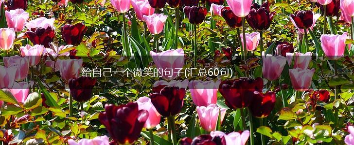 给自己一个微笑的句子(汇总60句),第1张 给自己一个微笑的句子(汇总60句),第1张