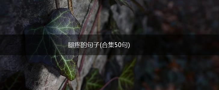 腿疼的句子(合集50句),第1张