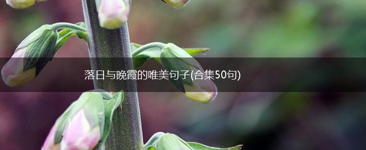 落日与晚霞的唯美句子(合集50句),第1张