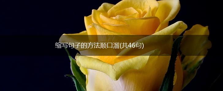 缩写句子的方法顺口溜(共46句),第1张