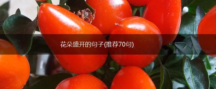 花朵盛开的句子(推荐70句),第1张