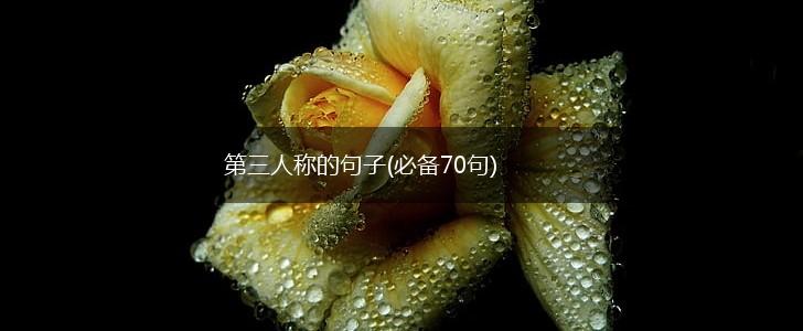 第三人称的句子(必备70句),第1张