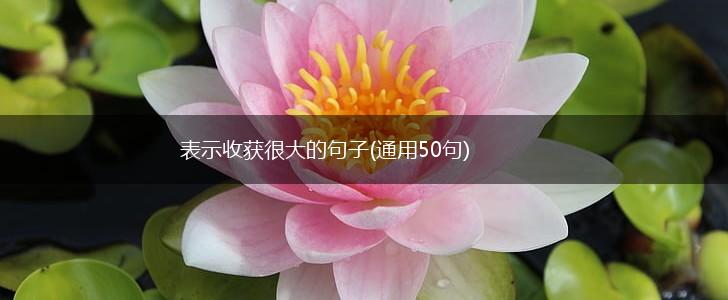 表示收获很大的句子(通用50句),第1张