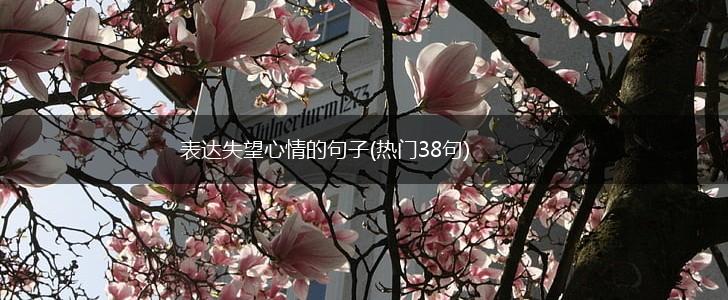 表达失望心情的句子(热门38句),第1张