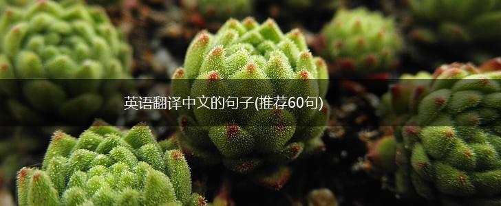 英语翻译中文的句子(推荐60句),第1张