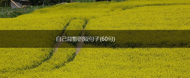 自己背影的短句子(60句),第1张