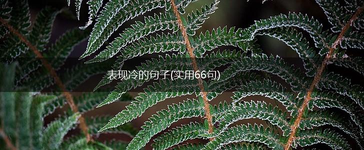 表现冷的句子(实用66句),第1张