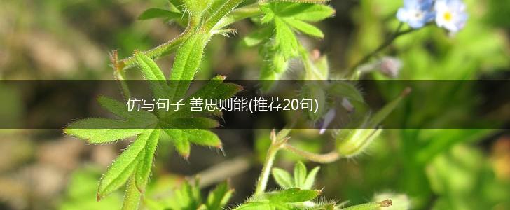仿写句子 善思则能(推荐20句),第1张