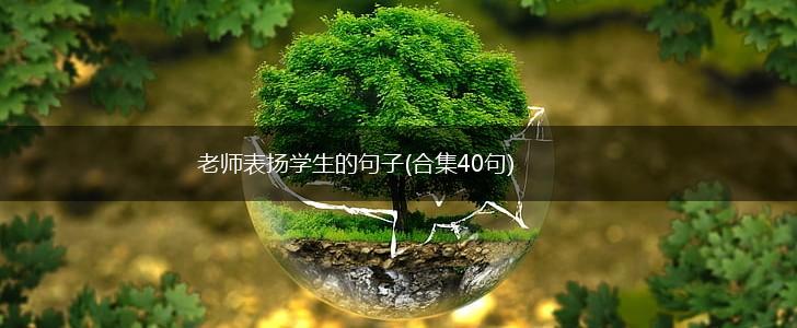 老师表扬学生的句子(合集40句),第1张