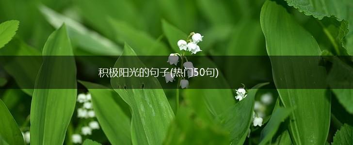 积极阳光的句子(热门50句),第1张