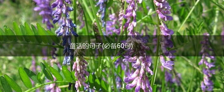 童话的句子(必备60句),第1张