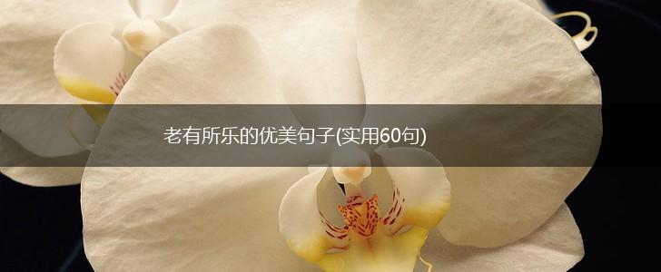 老有所乐的优美句子(实用60句),第1张