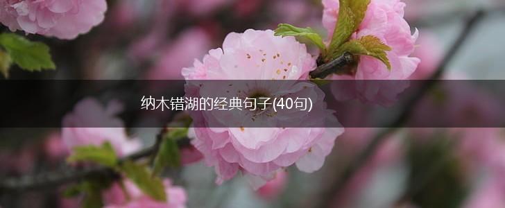 纳木错湖的经典句子(40句),第1张