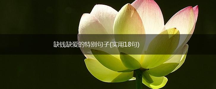 缺钱缺爱的特别句子(实用18句),第1张