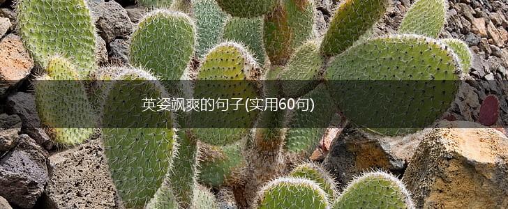 英姿飒爽的句子(实用60句),第1张