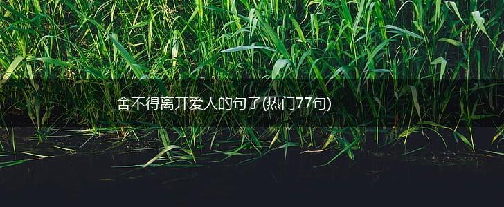 舍不得离开爱人的句子(热门77句),第1张