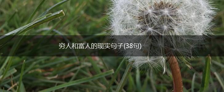 穷人和富人的现实句子(38句),第1张