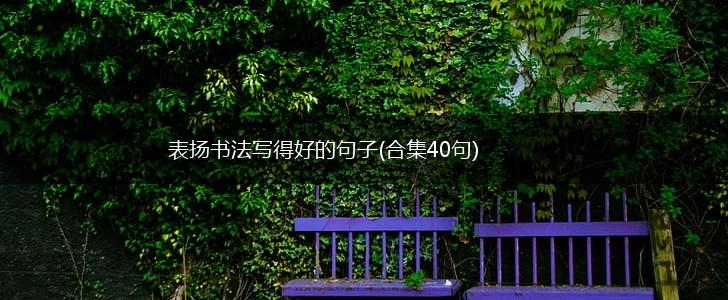 表扬书法写得好的句子(合集40句),第1张