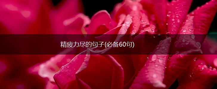精疲力尽的句子(必备60句),第1张