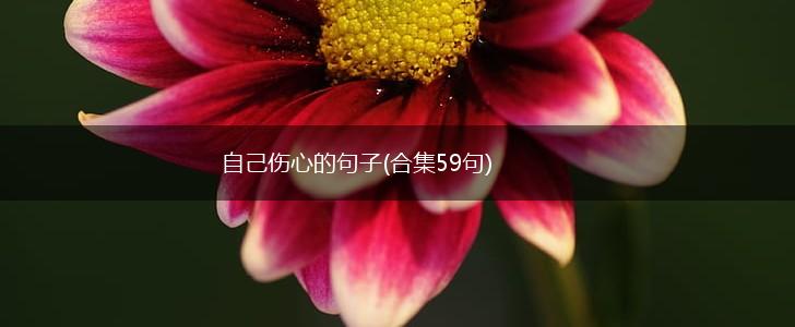 自己伤心的句子(合集59句),第1张