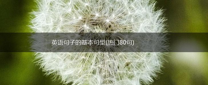英语句子的基本句型(热门80句),第1张