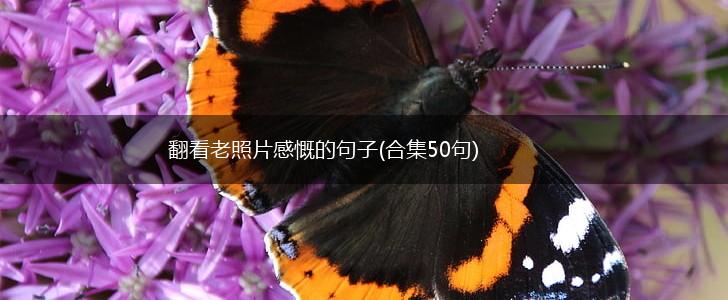翻看老照片感慨的句子(合集50句),第1张