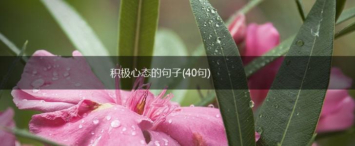 积极心态的句子(40句),第1张