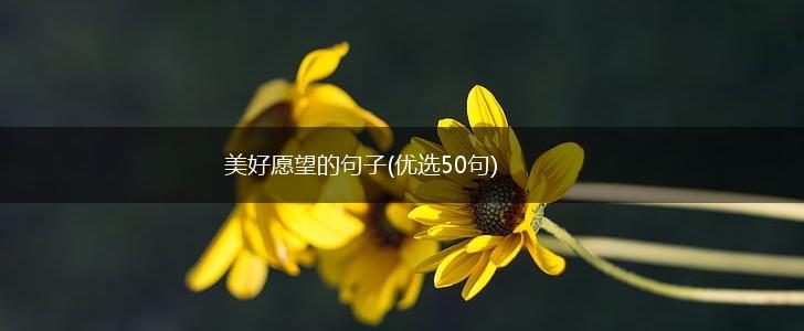 美好愿望的句子(优选50句),第1张