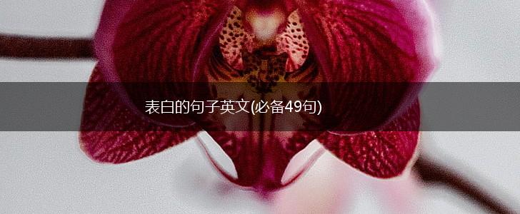 表白的句子英文(必备49句),第1张