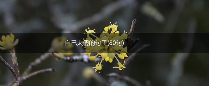 自己太傻的句子(80句),第1张