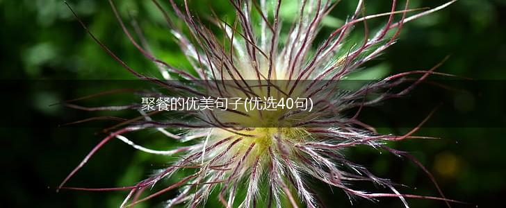 聚餐的优美句子(优选40句),第1张