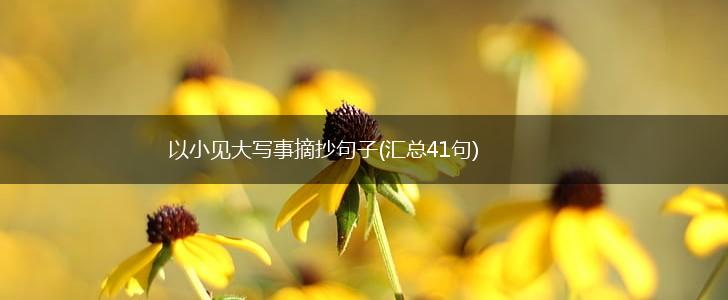 以小见大写事摘抄句子(汇总41句),第1张
