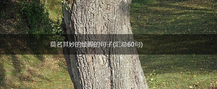 莫名其妙的烦躁的句子(汇总60句),第1张