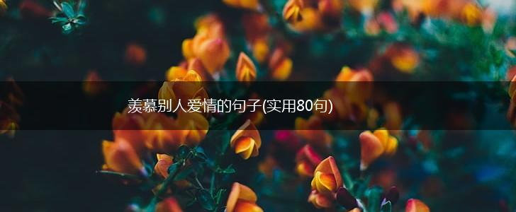 羡慕别人爱情的句子(实用80句),第1张