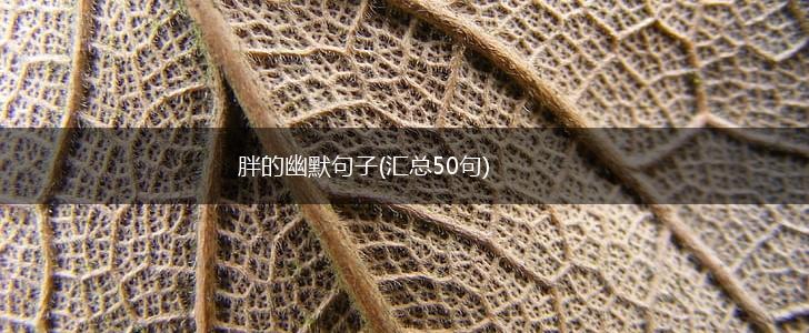 胖的幽默句子(汇总50句),第1张