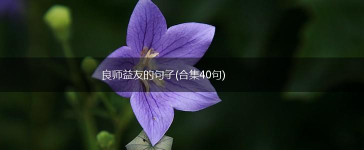 良师益友的句子(合集40句),第1张