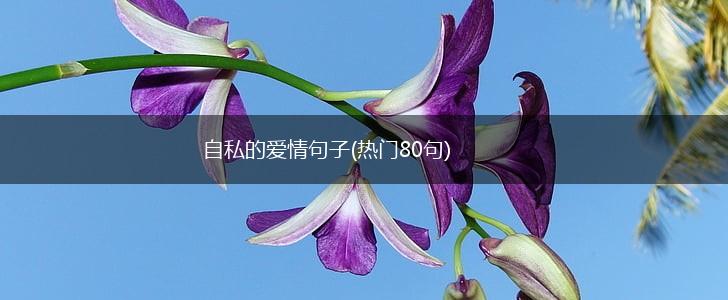 自私的爱情句子(热门80句),第1张