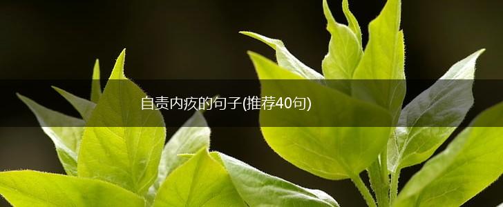 自责内疚的句子(推荐40句),第1张