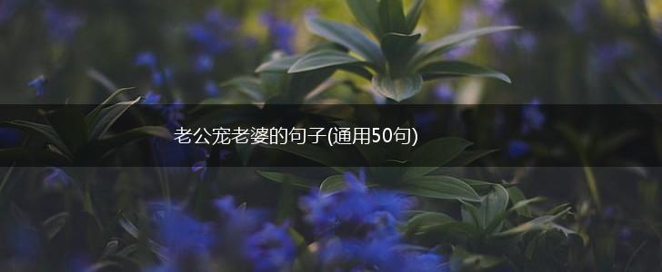 老公宠老婆的句子(通用50句),第1张