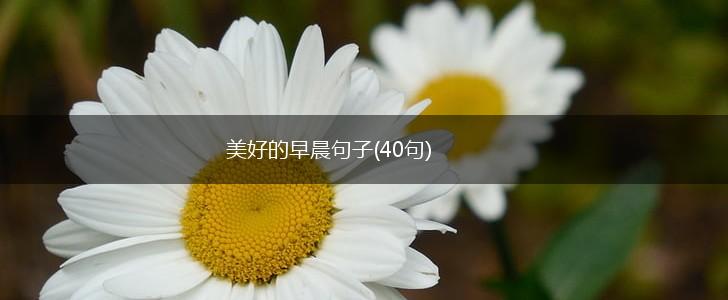 美好的早晨句子(40句),第1张