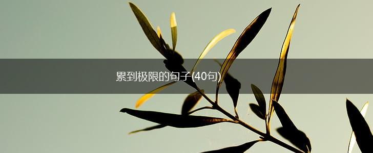 累到极限的句子(40句),第1张