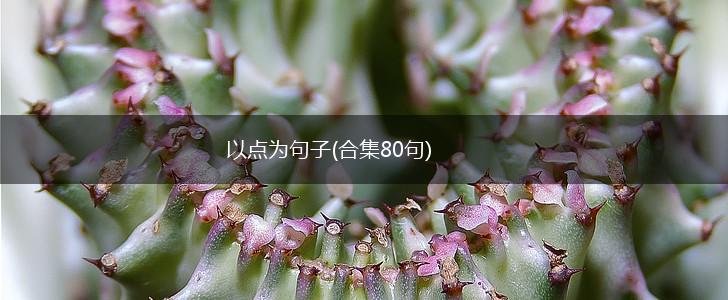 以点为句子(合集80句),第1张