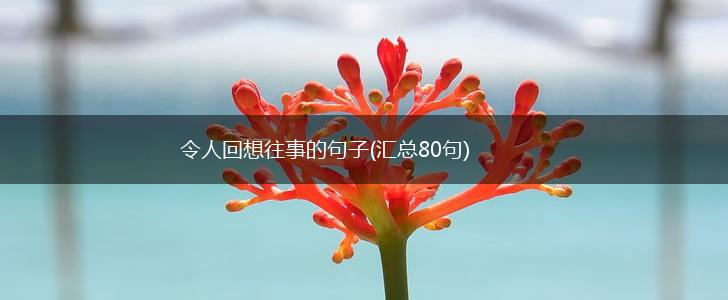 令人回想往事的句子(汇总80句),第1张