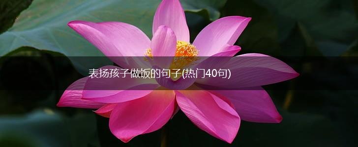 表扬孩子做饭的句子(热门40句),第1张