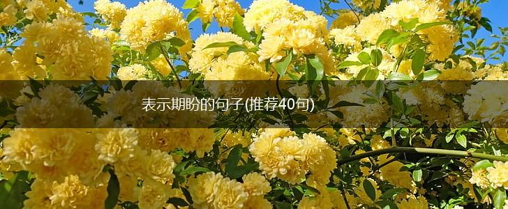 表示期盼的句子(推荐40句),第1张