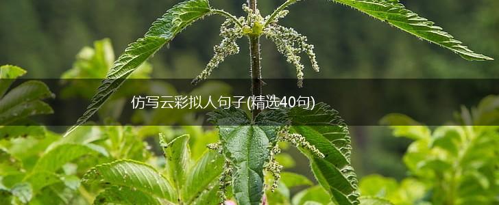 仿写云彩拟人句子(精选40句),第1张