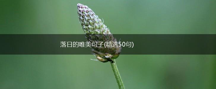 落日的唯美句子(精选50句),第1张