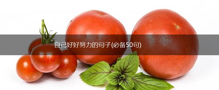 自己好好努力的句子(必备50句),第1张